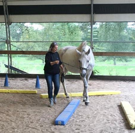 Equikinetic Quadrat-Longieren